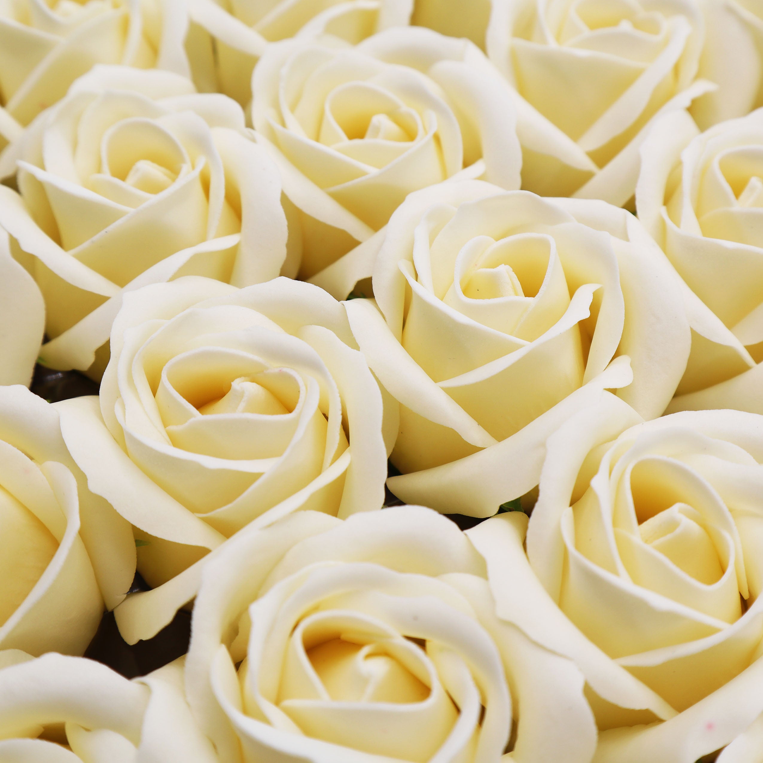 Champanhe - Rosas Decorativas de Sabão